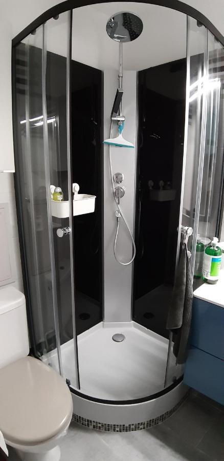Appartement 2 Min A Pied De La Mer Et Du Centre Ville Saint-Georges-de-Didonne Zewnętrze zdjęcie